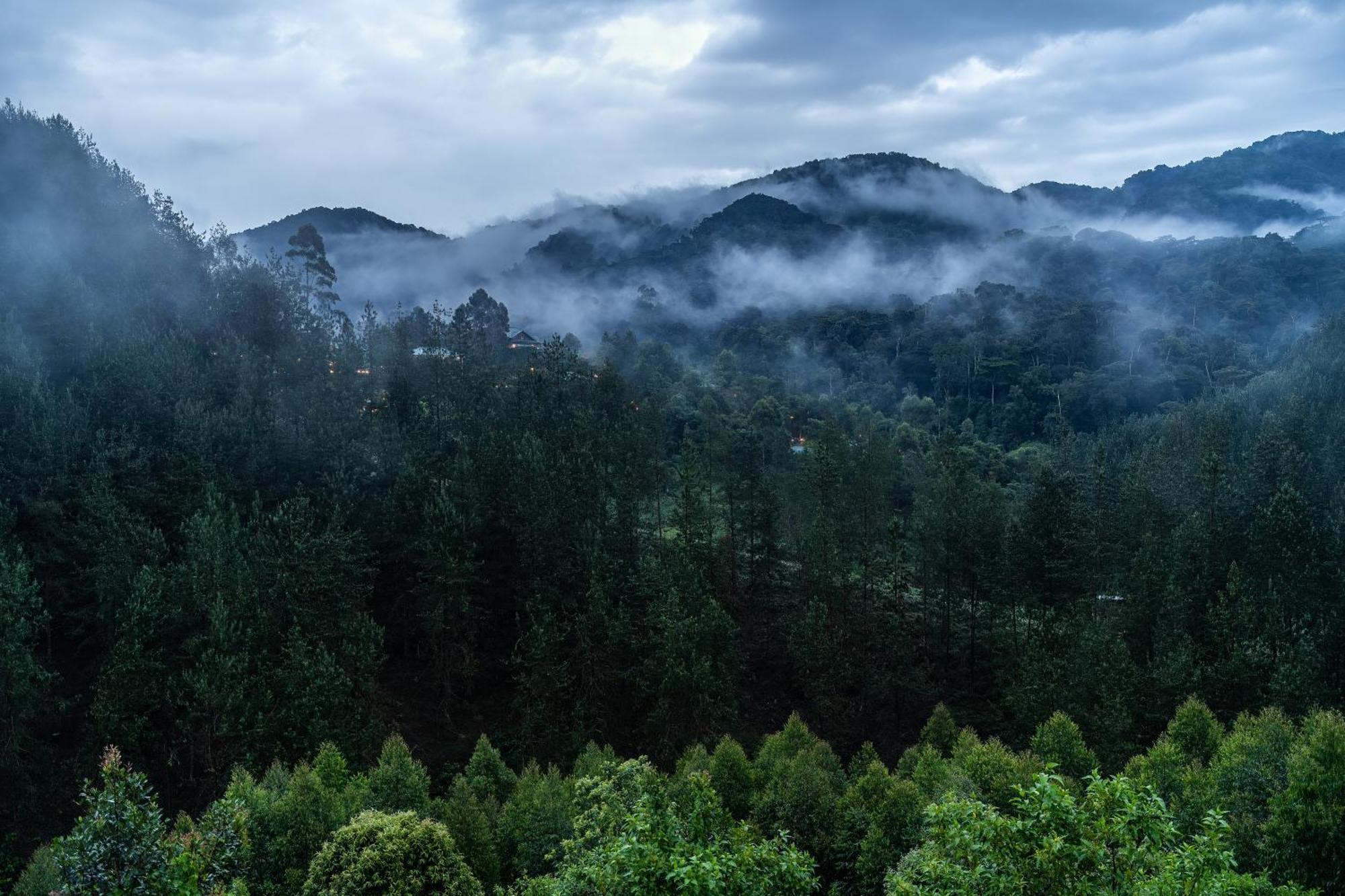 Gorilla Leisure Lodge Kisoro Εξωτερικό φωτογραφία