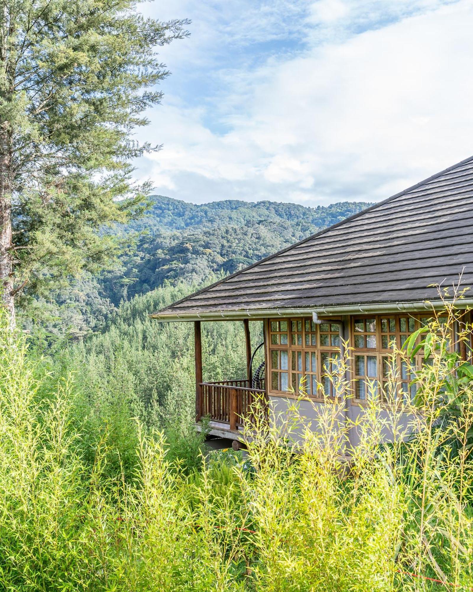 Gorilla Leisure Lodge Kisoro Εξωτερικό φωτογραφία